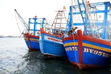 Barcos pesqueros en Dong Thap (Foto: VNA)