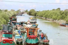 El Comité Popular de la provincia de Dong Thap está implementando el "Proyecto para transformar algunos oficios relativos a la explotación acuática que afectan los recursos marinos y el entorno ecológico" (Foto: VNA)