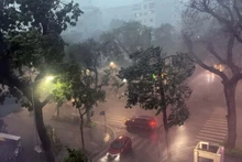 Las fuertes lluvias y tormentas eléctricas causadas por la tormenta n.º 3 provocaron la caída de numerosos árboles en las calles de Hanói. (Foto: VNA)
