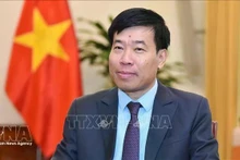 El viceministro de Relaciones Exteriores Nguyen Manh Cuong (Foto: VNA)