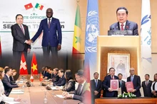 Mantener el impulso de la fructífera cooperación parlamentaria entre Vietnam y países amigos