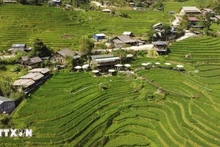 El total de fondos proyectados para la primera fase de este programa asciende a 40 mil millones de dólares (Foto: VNA)