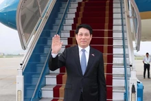 El presidente de Vietnam, Luong Cuong (Foto: VNA)