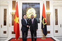 El presidente de Vietnam, Luong Cuong, (izquierda) y su homólogo angoleño, João Manuel Gonçalves Lourenço (Foto: VNA)