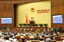 Panorama de la reunión. (Foto: VNA)