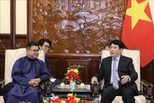 El presidente de Vietnam, Luong Cuong (derecha), conversa con el embajador de Chile, Sergio Narea Guzmán (Foto: VNA)