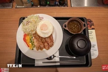 El plato "Arroz partido vietnamita con cerdo" (Foto: VNA)