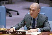 El consejero ministro Nguyen Hoang Nguyen (Foto: VNA)