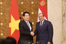 El presidente de Vietnam, Luong Cuong (izquierda), y su homólogo de la República Árabe de Egipto, Abdel Fattah El-Sisi (Foto: VNA)