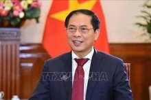 El viceprimer ministro y canciller Bui Thanh Son (Foto: VNA)