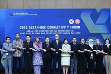 Embajadores de las delegaciones de la Asean y ponentes en el Foro. (Foto: VNA)
