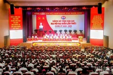 [Vídeo] Clausuran primera Asamblea del Comité del Partido en provincia de Gia Lai