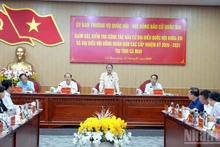 Comité Permanente del Parlamento de Vietnam supervisa preparativos electorales en provincia sureña de Ca Mau (Foto: Nhan Dan)