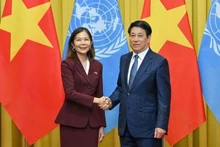 El presidente vietnamita, Luong Cuong, y Pauline Tamesis, coordinadora residente de la ONU en Hanói, en una reunión con los jefes de las agencias de la ONU de Vietnam el 18 de septiembre (Foto: Thuy Nguyen)