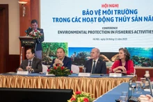 Los delegados presiden la conferencia. (Foto: PNUD)