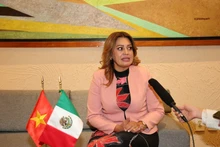 La diputada del Partido del Trabajo, presidenta de la Comisión de Bienestar de la Cámara de Diputados de México, Ana Karina Rojo Pimentel, responde a una entrevista de la VNA. (Foto: VNA)