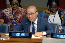 El ministro consejero Nguyen Hoang Nguyen, encargado de negocios de la misión permanente de Vietnam ante la ONU. (Foto: VNA)