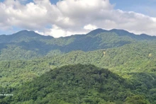 Invertir en bosques equivale a invertir en el futuro. (Foto: VNA)