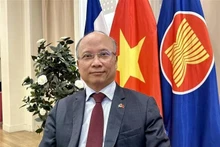 El embajador vietnamita en Francia, Dinh Toan Thang (Foto: VNA)