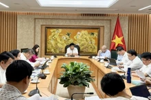 El viceprimer ministro Nguyen Chi Dung habla en la reunión. (Foto: VNA)