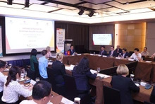 Panorama de la reunión. (Foto: VNA)
