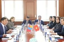 La delegación de alto nivel del Tribunal Supremo Popular de Vietnam sostiene conversaciones con la delegación del Tribunal Supremo de Mongolia. (Foto: VNA)