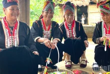 Honrarán en octubre identidad cultural de grupos étnicos vietnamitas.