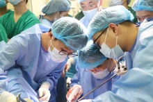 Los médicos realizaron una demostración quirúrgica en vivo. (Fuente: VNA)