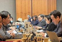 Representantes vietnamita en la reunión. (Fuente: VNA)