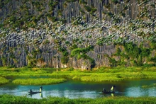 La zona ecoturística de la laguna Van Long, en la provincia de Ninh Binh, es famosa por su belleza prístina y tranquila, y por su diverso ecosistema. 