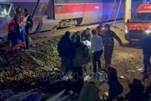 El grave accidente entre dos trenes de alta velocidad ocurrió en la provincia de Córdoba (Fuente: VNA)