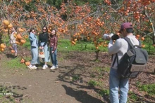 Turistas en Moc Chau, provincia de Son La. (Fuente: VNA)