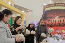 Visitantes a la Feria de Primavera (Fuente: VNA)