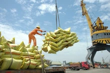 Vietnam ha exportado 6,3 millones de toneladas de arroz en los primeros ocho meses de 2025. (Foto: VNA)