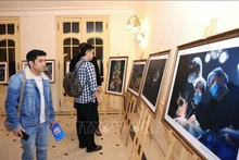 Visitantes a la exposición fotográfica del concurso "Vietnam Feliz" de 2024. (Foto: VNA)