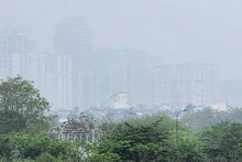 Foto de ilustración. (Fuente: www.mae.gov.vn)