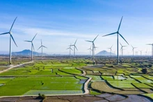 Garantizar la seguridad energética para el desarrollo nacional en la nueva era. (Foto: Internet)