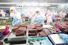 Foto de ilustración. (Fuente: Asociación de Procesadores y Exportadores de Productos del Mar de Vietnam)