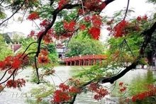 Un rincón del lago Hoan Kiem, en Hanói. (Fotografía: VNA)