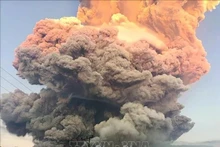 Cancelan vuelos hacia la isla turística de Bali tras erupción volcánica en Indonesia