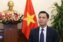 El viceministro de Relaciones Exteriores de Vietnam Dang Hoang Giang. (Foto: VNA)