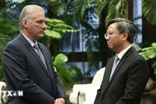 El primer secretario del Comité Central del Partido Comunista de Cuba y presidente de la República, Miguel Díaz-Canel Bermúdez, y el embajador de Vietnam en Cuba, Le Quang Long. (Foto: VNA)