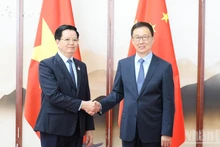 El vice primer ministro vietnamita Mai Van Chinh se reúne con el subjefe del Estado chino Han Zheng. (Foto: Nhan Dan)