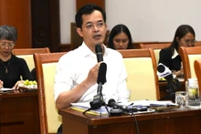 Truong Ba Tuan, subdirector de Gestión y Supervisión de Políticas Tributarias del Ministerio de Finanzas de Vietnam. (Fotografía: VNA)