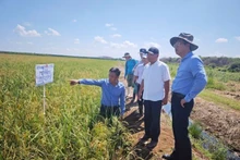 El embajador de Vietnam en Cuba, Le Quang Long (primero a la derecha), en la actividad. (Fotografía: Nhan Dan)