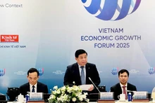 El vice primer ministro vietnamita Nguyen Chi Dung interviene en la cita. (Fotografía: VGP)