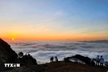 La meseta de Dong Cao, ubicada en la comuna de Van Son, en la provincia de Bac Ninh, se llena de visitantes que llegan para cazar nubes. (Foto: VNA)