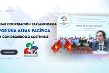 Impulsar cooperación parlamentaria por una Asean pacífica y con desarrollo sostenible
