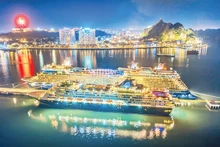 Quang Ninh se consolida como destino nacional de cruceros. (Fotografía: Nhan Dan)
