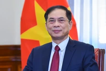 El vicepremier y ministro de Relaciones Exteriores de Vietnam, Bui Thanh Son. (Foto: VNA)